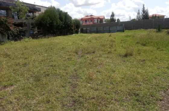 Barakah Crescent Katani